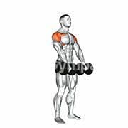 Front Raise (Dumbbell)
