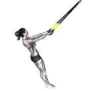 Front Raise (Suspension)