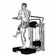 Glute Kickback (Machine)