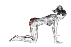 Glute Kickback on Floor