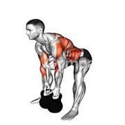 Gorilla Row (Kettlebell)