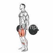 Hack Squat