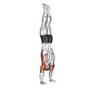 Handstand Hold