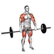 Hang Clean