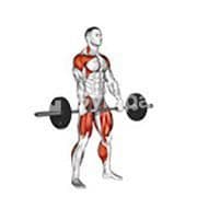 Hang Snatch