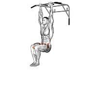 Hanging Knee Raise
