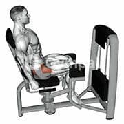 Hip Abduction (Machine)