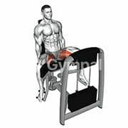 Hip Adduction (Machine)