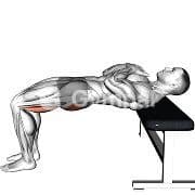 Hip Thrust