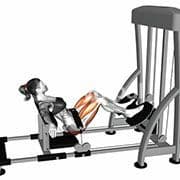 Hip Thrust (Machine)