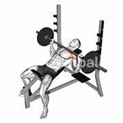 Incline Bench Press (Barbell)
