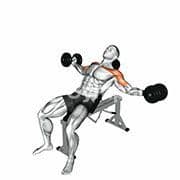Incline Chest Fly (Dumbbell)