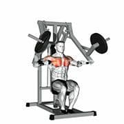 Iso-Lateral Chest Press (Machine)