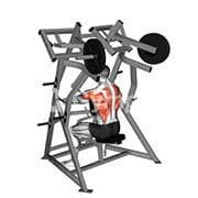 Iso-Lateral Low Row
