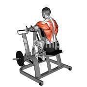 Iso-Lateral Row (Machine)