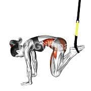 Jack Knife (Suspension)