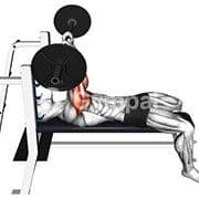 JM Press (Barbell)