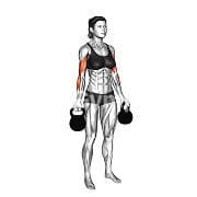 Kettlebell Curl