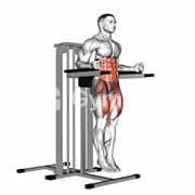 Knee Raise Parallel Bars