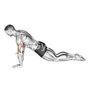 Kneeling Push Up
