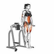 L-Sit Hold
