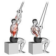 Lat Pulldown (Band)