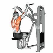 Lat Pulldown (Machine)