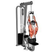 Lat Pulldown - Close Grip
