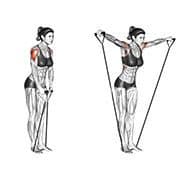 Lateral Raise (Band)