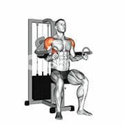 Lateral Raise (Machine)