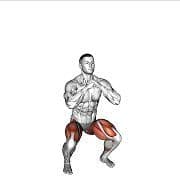 Lateral Squat