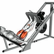 Leg Press (Machine)