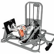 Leg Press Horizontal (Machine)