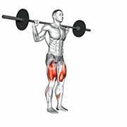 Lunge (Barbell)