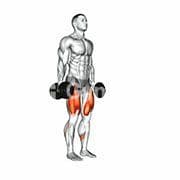 Lunge (Dumbbell)