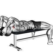 Lying Neck Curls (Weighted)