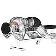 Lying Neck Extension (Weighted)
