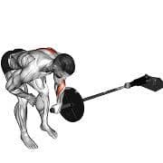 Meadows Rows (Barbell)