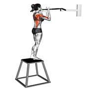 Negative Pull Up