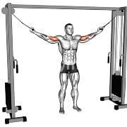 Overhead Curl (Cable)