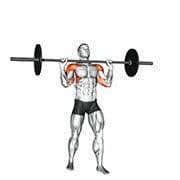 Overhead Press (Barbell)