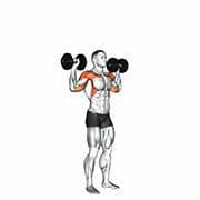 Overhead Press (Dumbbell)