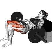 Partial Glute Bridge (Barbell)