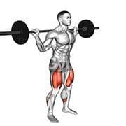 Pause Squat (Barbell)