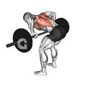 Pendlay Row (Barbell)