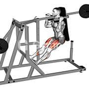 Pendulum Squat (Machine)