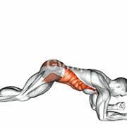 Plank