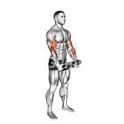 Plate Curl