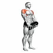 Plate Front Raise