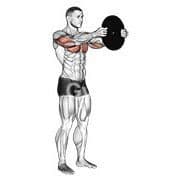 Plate Press